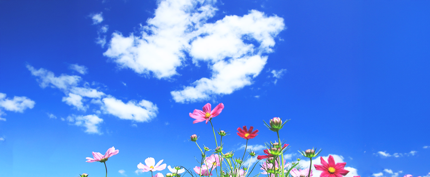 キービジュアルイメージ01